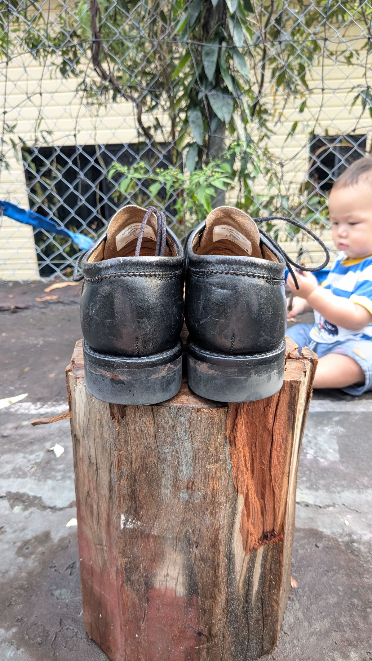 Photo by dante on November 1, 2025 of the Rolling Dub Trio Coupen Low Moc in Black Horse Front #1020.