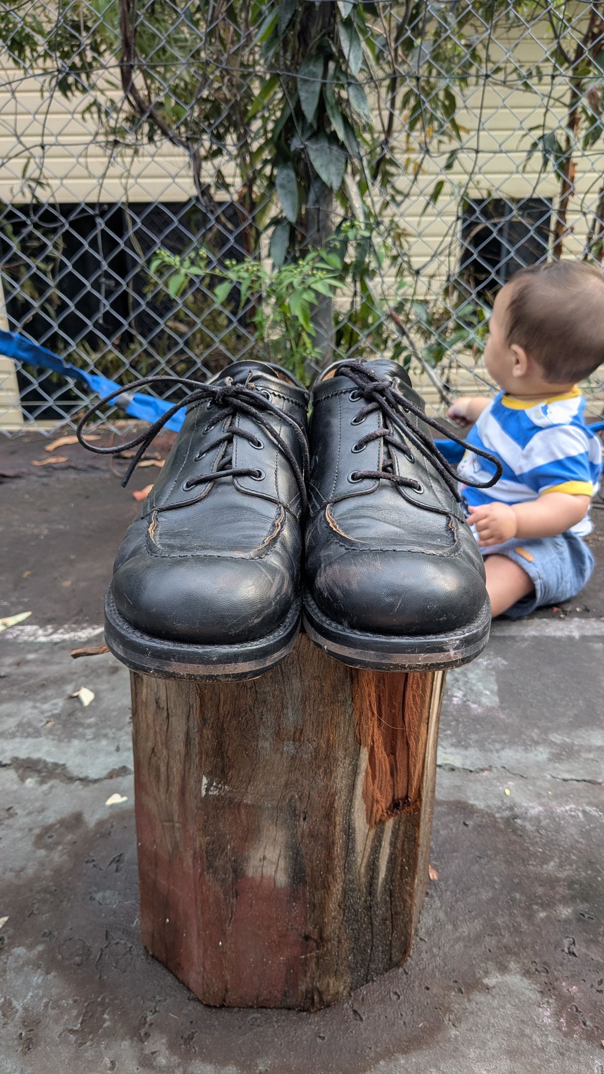 Photo by dante on November 1, 2025 of the Rolling Dub Trio Coupen Low Moc in Black Horse Front #1020.