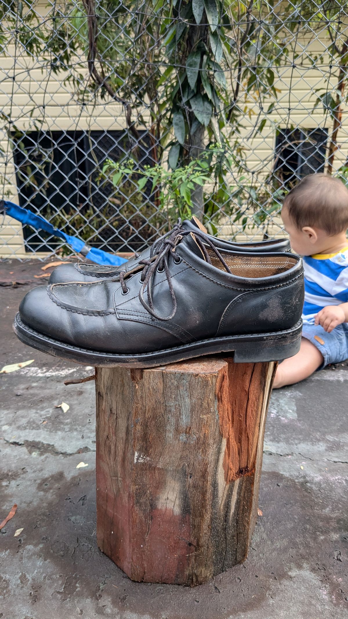 Photo by dante on November 1, 2025 of the Rolling Dub Trio Coupen Low Moc in Black Horse Front #1020.