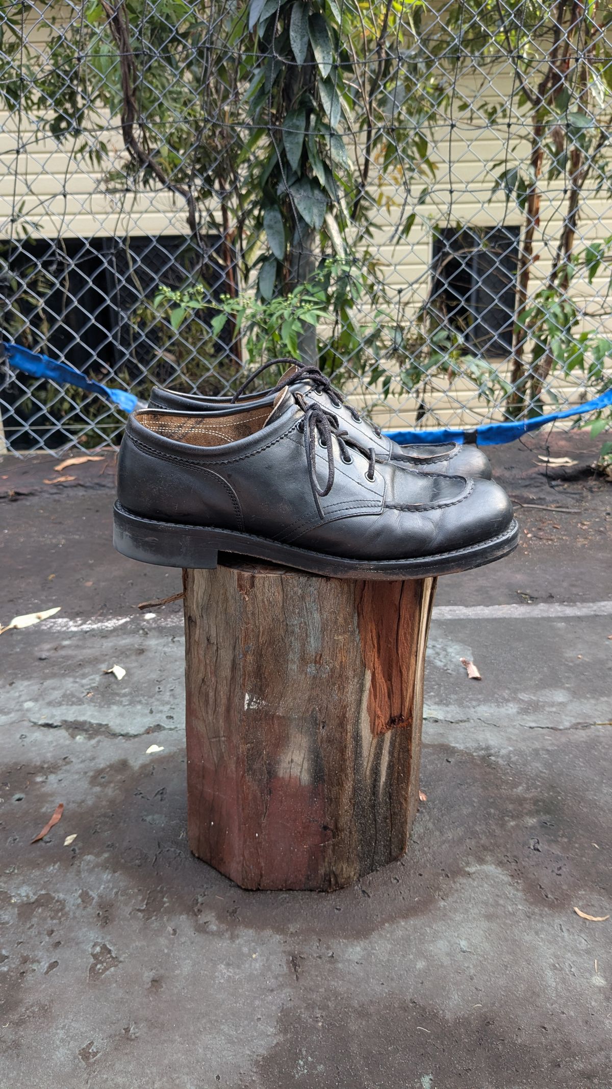 Photo by dante on November 1, 2025 of the Rolling Dub Trio Coupen Low Moc in Black Horse Front #1020.