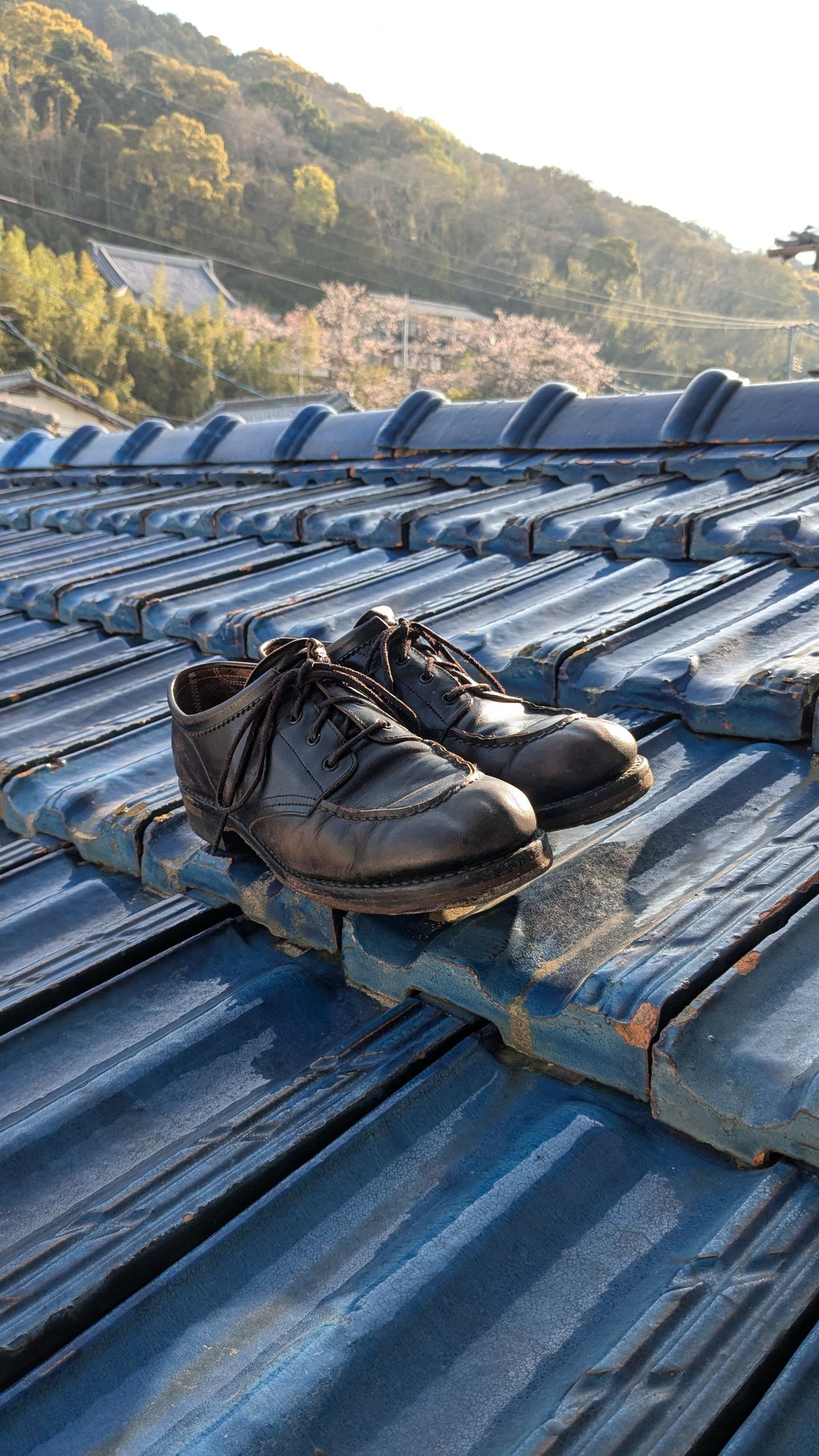 Photo by dante on April 2, 2026 of the Rolling Dub Trio Coupen Low Moc in Black Horse Front #1020.