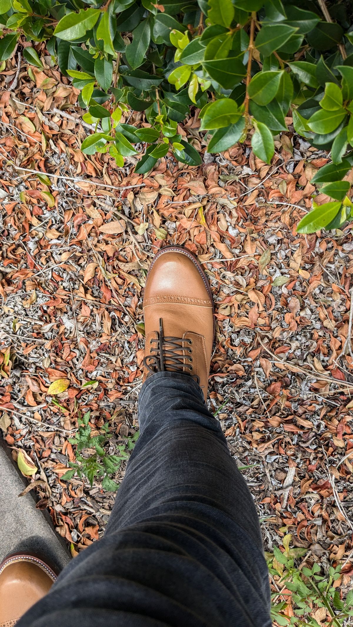 Photo by dante on November 3, 2024 of the Tahura Kaktoes in Tochigi Jeans #5 Khaki.