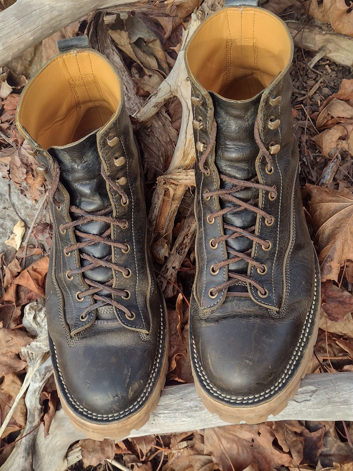 Photo by BootedBrewer on January 2, 2025 of the Caswell Boot Company Carver in Gallun Olive Teton Stag.