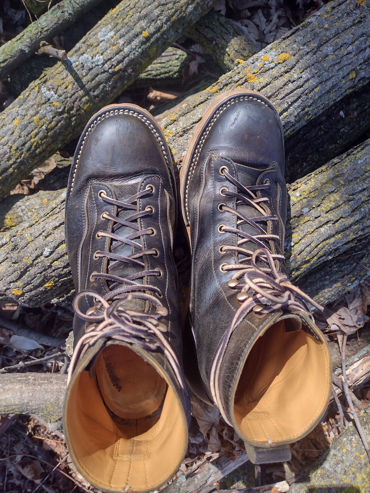 Photo by BootedBrewer on April 4, 2025 of the Caswell Boot Company Carver in Gallun Olive Teton Stag.