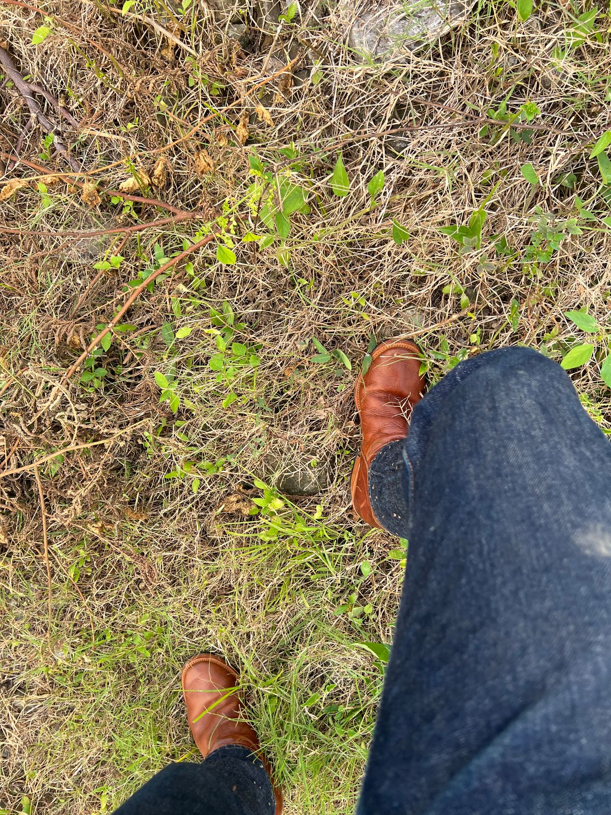 Photo by bimarosyidwicaksono on October 7, 2025 of the Prof Barnets Neocliffwood Boots in Indonesian Brown Java Chrome.