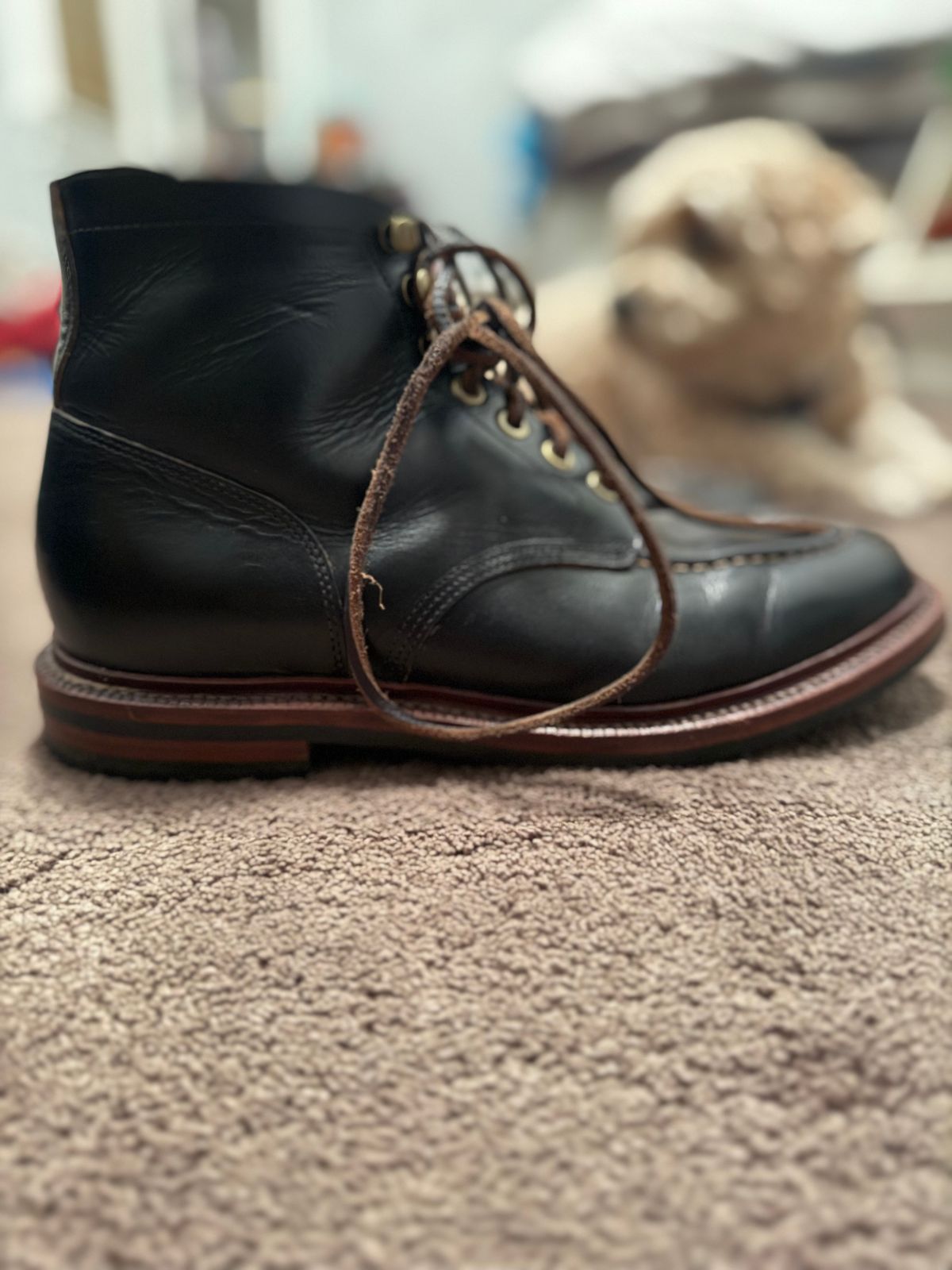 Photo by Bear_runner on December 6, 2025 of the Grant Stone Ottawa Boot in Horween Chromexel.