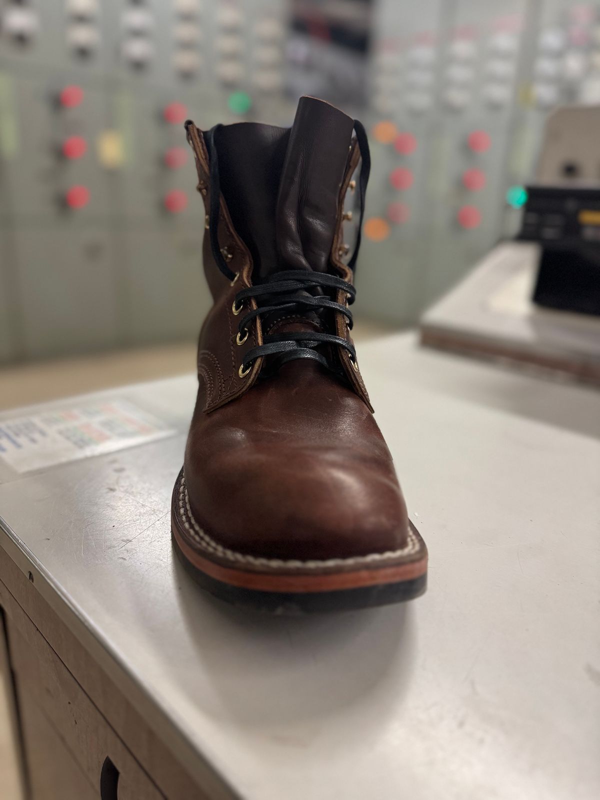 Photo by JayGeeToo on December 4, 2024 of the Nicks Falcon in Italian Brown Cypress.