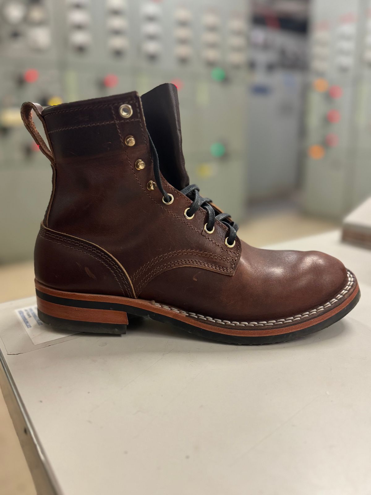 Photo by JayGeeToo on December 4, 2024 of the Nicks Falcon in Italian Brown Cypress.