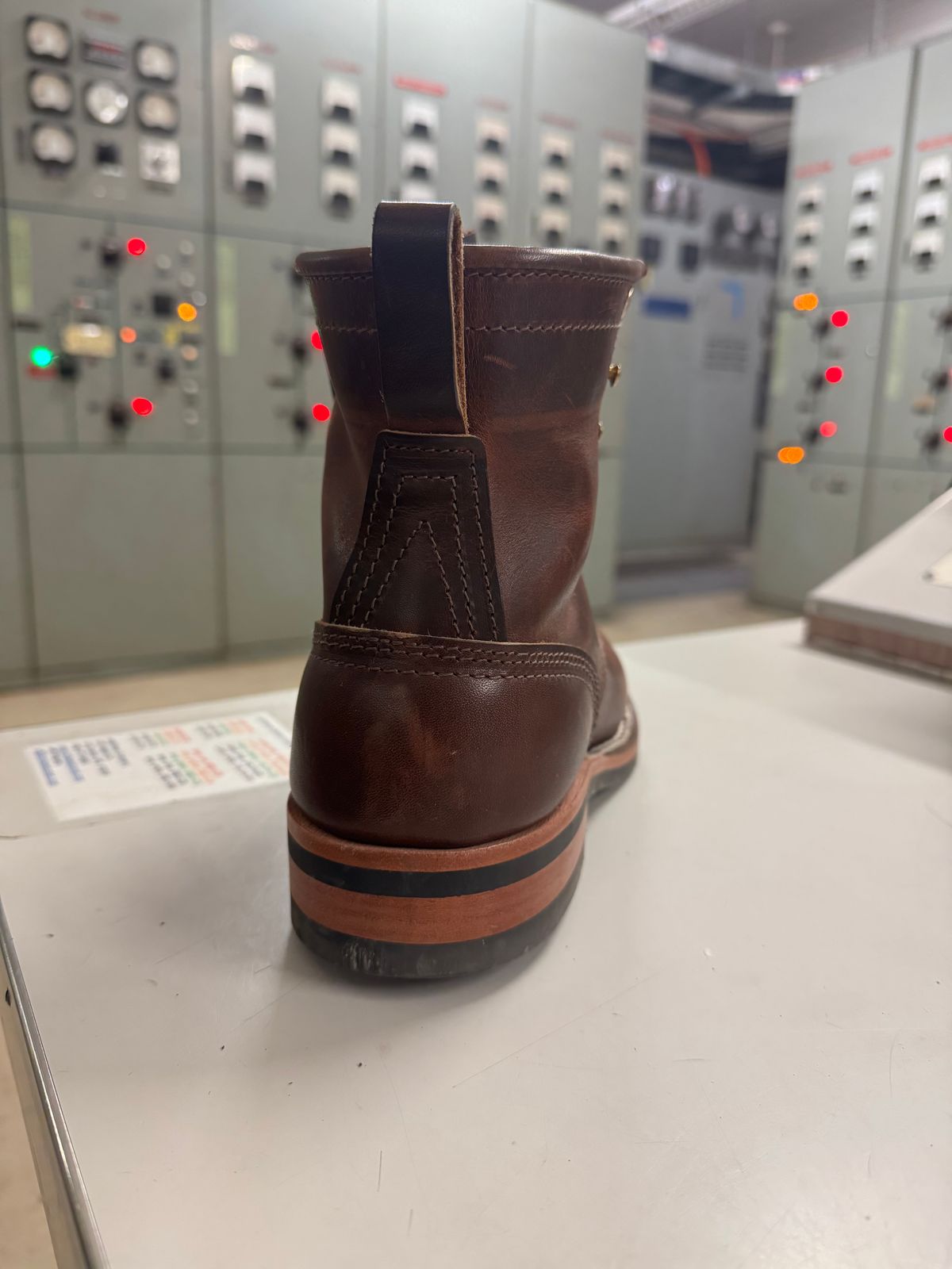 Photo by JayGeeToo on December 4, 2024 of the Nicks Falcon in Italian Brown Cypress.
