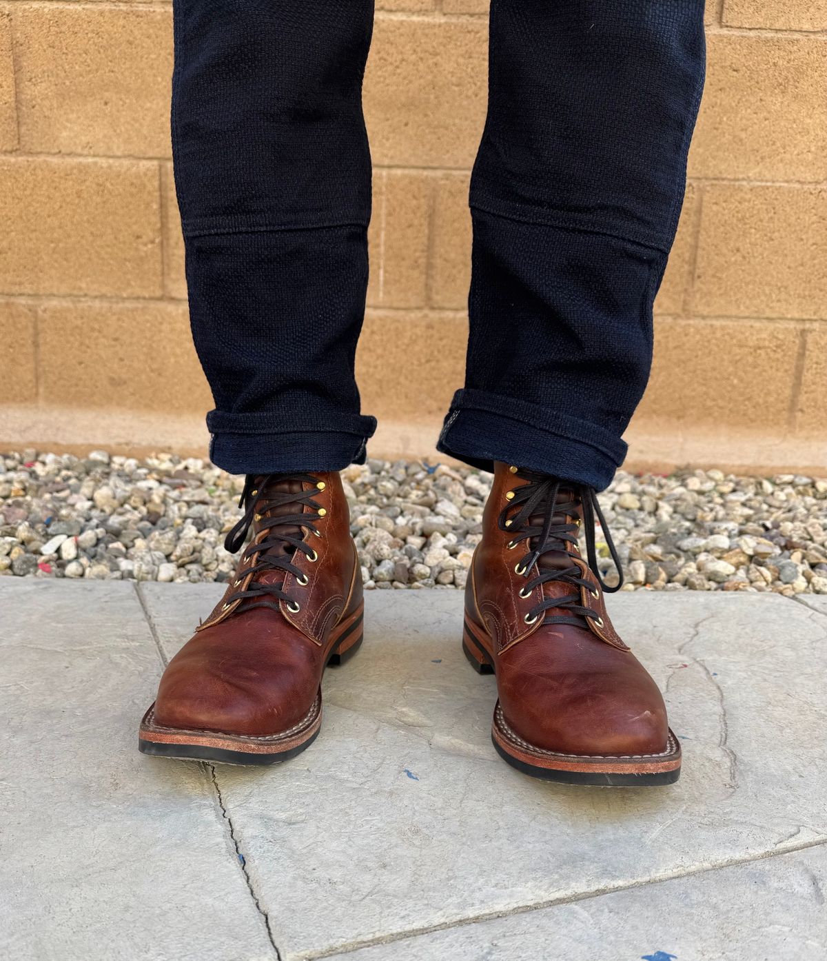 Photo by JayGeeToo on January 21, 2025 of the Nicks Falcon in Italian Brown Cypress.