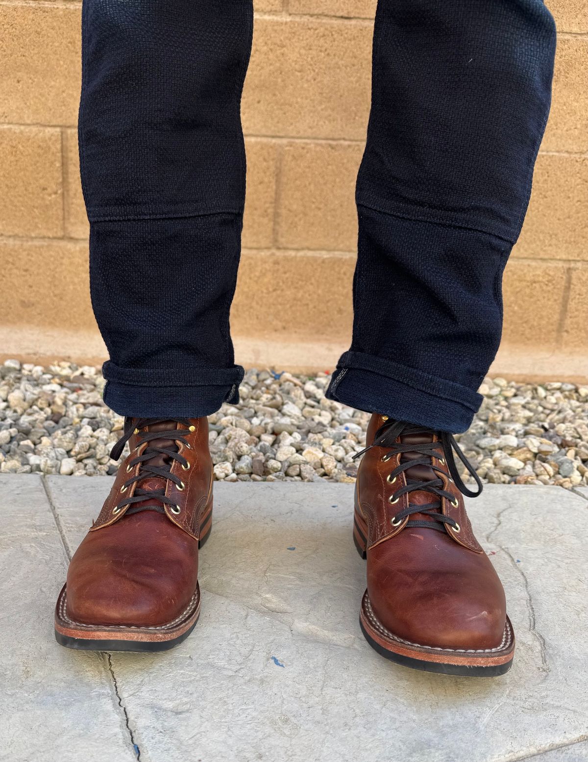 Photo by JayGeeToo on January 21, 2025 of the Nicks Falcon in Italian Brown Cypress.