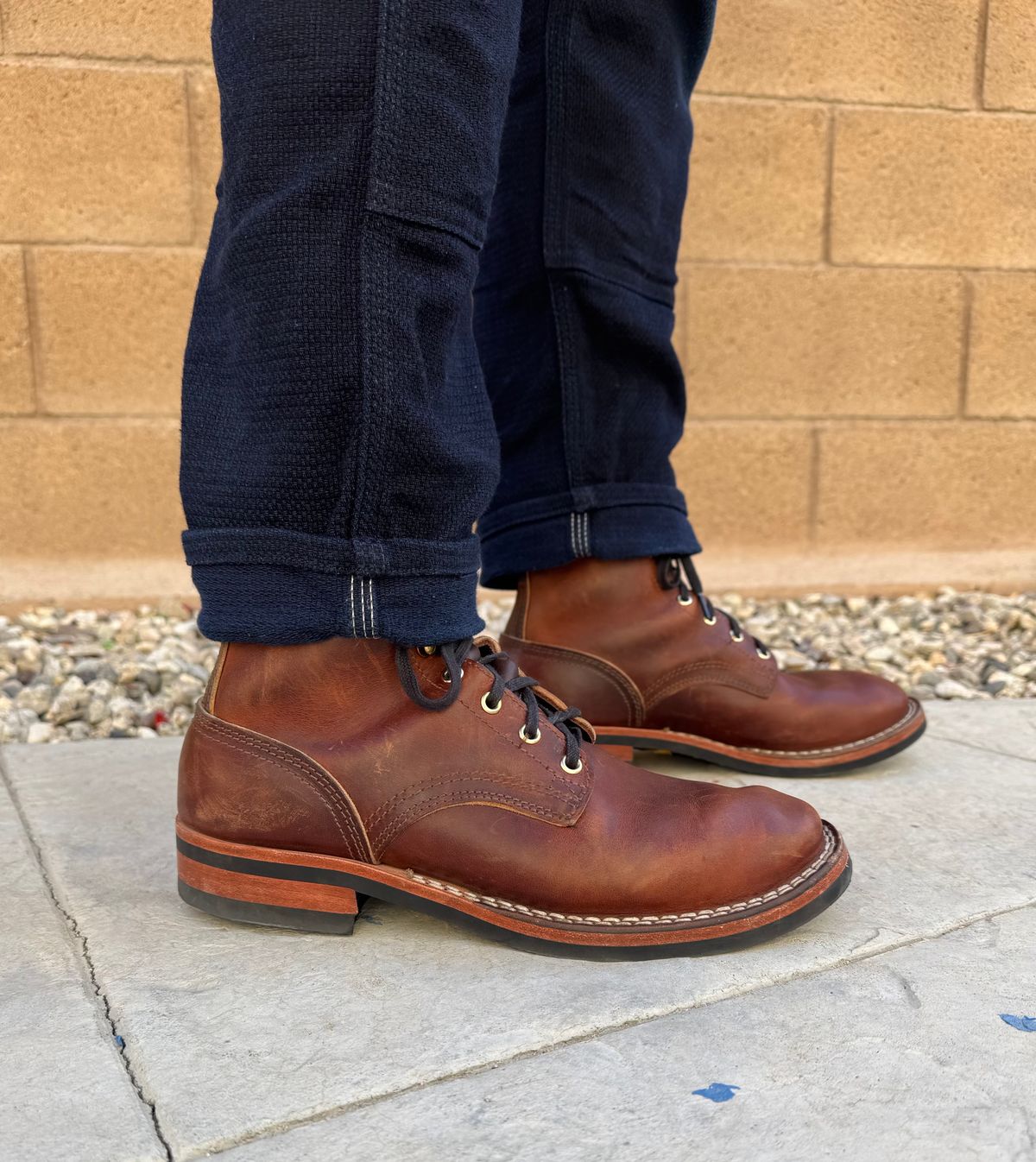 Photo by JayGeeToo on January 21, 2025 of the Nicks Falcon in Italian Brown Cypress.
