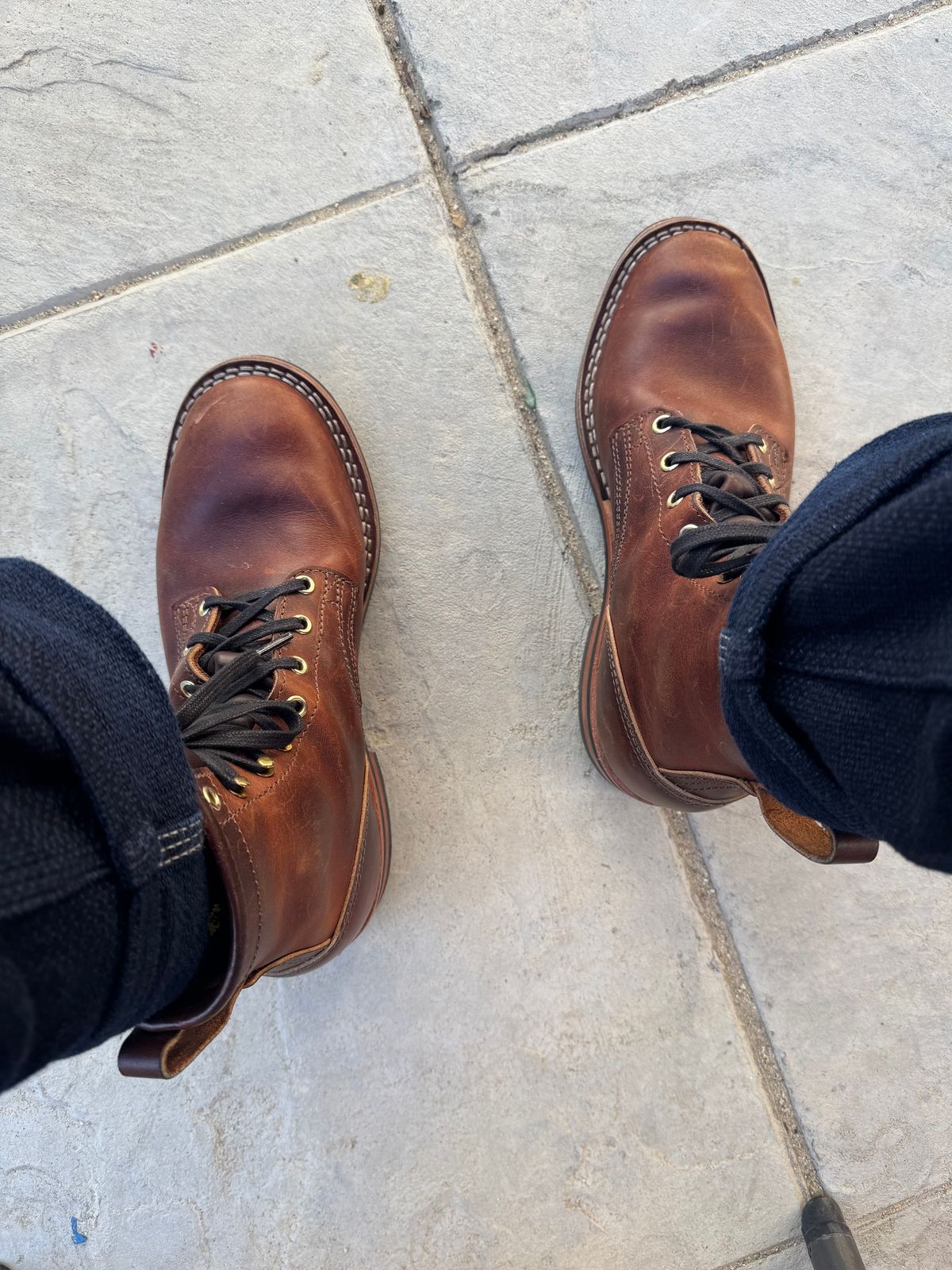 Photo by JayGeeToo on January 21, 2025 of the Nicks Falcon in Italian Brown Cypress.