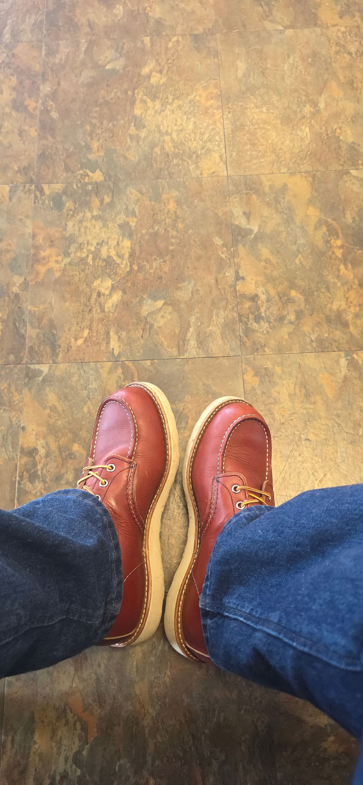 Photo by RabbitsOnTheMoon on July 8, 2025 of the Red Wing 6-Inch Classic Moc in S.B. Foot Oro-Russet Portage.