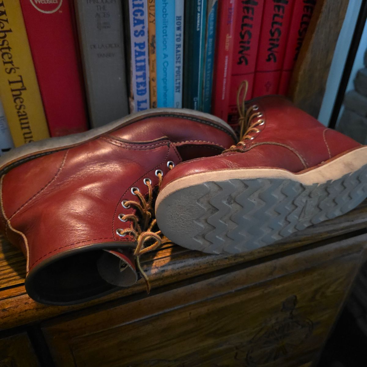 Photo by RabbitsOnTheMoon on January 23, 2026 of the Red Wing 6-Inch Classic Moc in S.B. Foot Oro-Russet Portage.