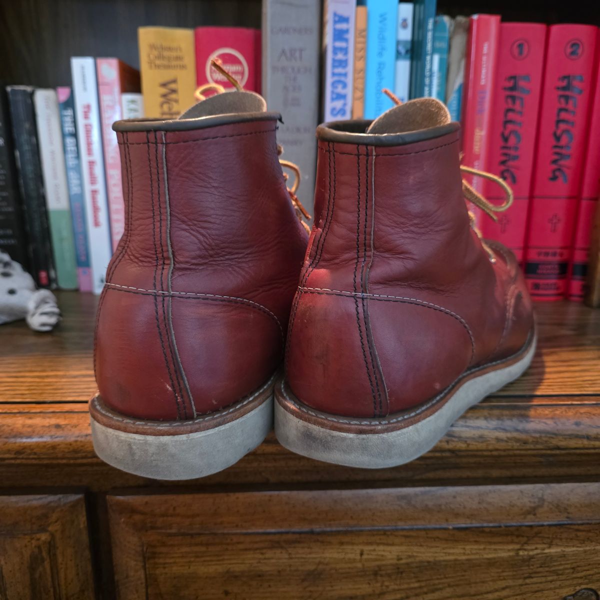 Photo by RabbitsOnTheMoon on January 23, 2026 of the Red Wing 6-Inch Classic Moc in S.B. Foot Oro-Russet Portage.