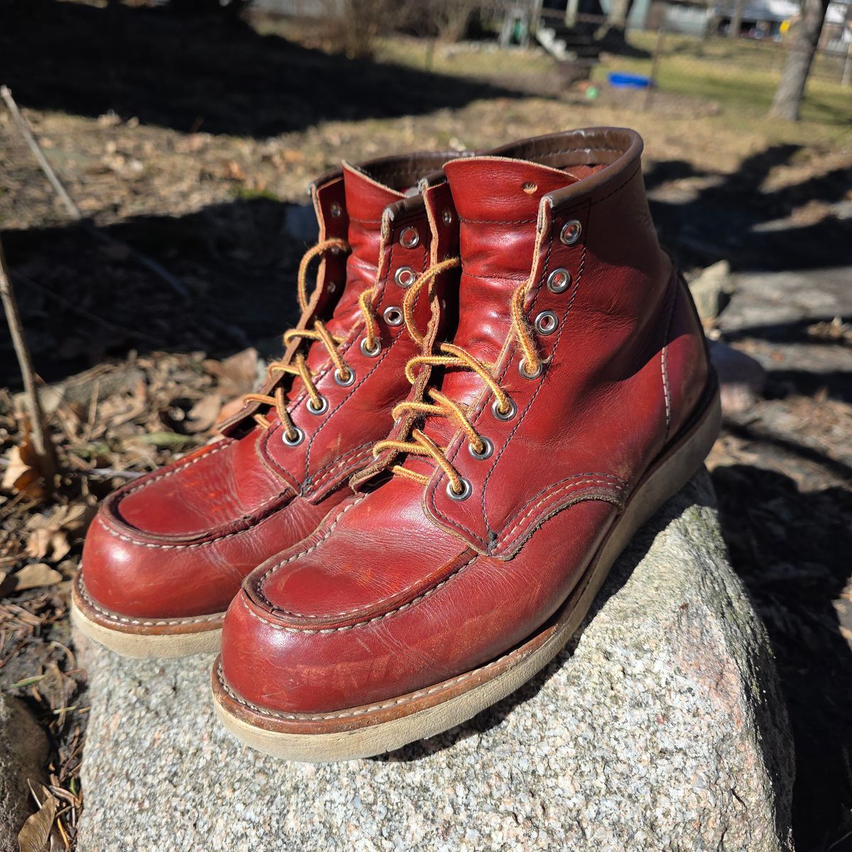 Photo by RabbitsOnTheMoon on March 8, 2026 of the Red Wing 6-Inch Classic Moc in S.B. Foot Oro-Russet Portage.