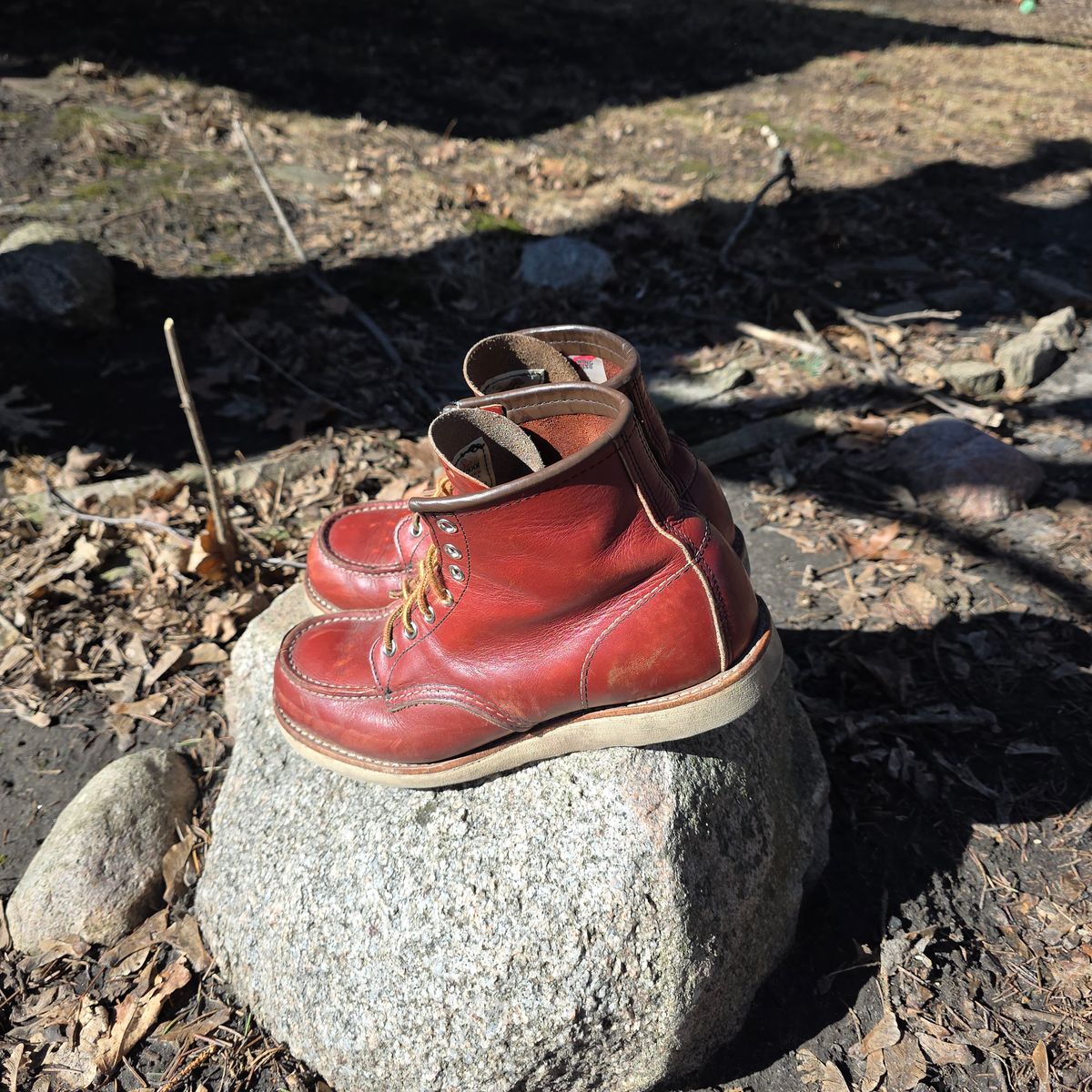 Photo by RabbitsOnTheMoon on March 8, 2026 of the Red Wing 6-Inch Classic Moc in S.B. Foot Oro-Russet Portage.