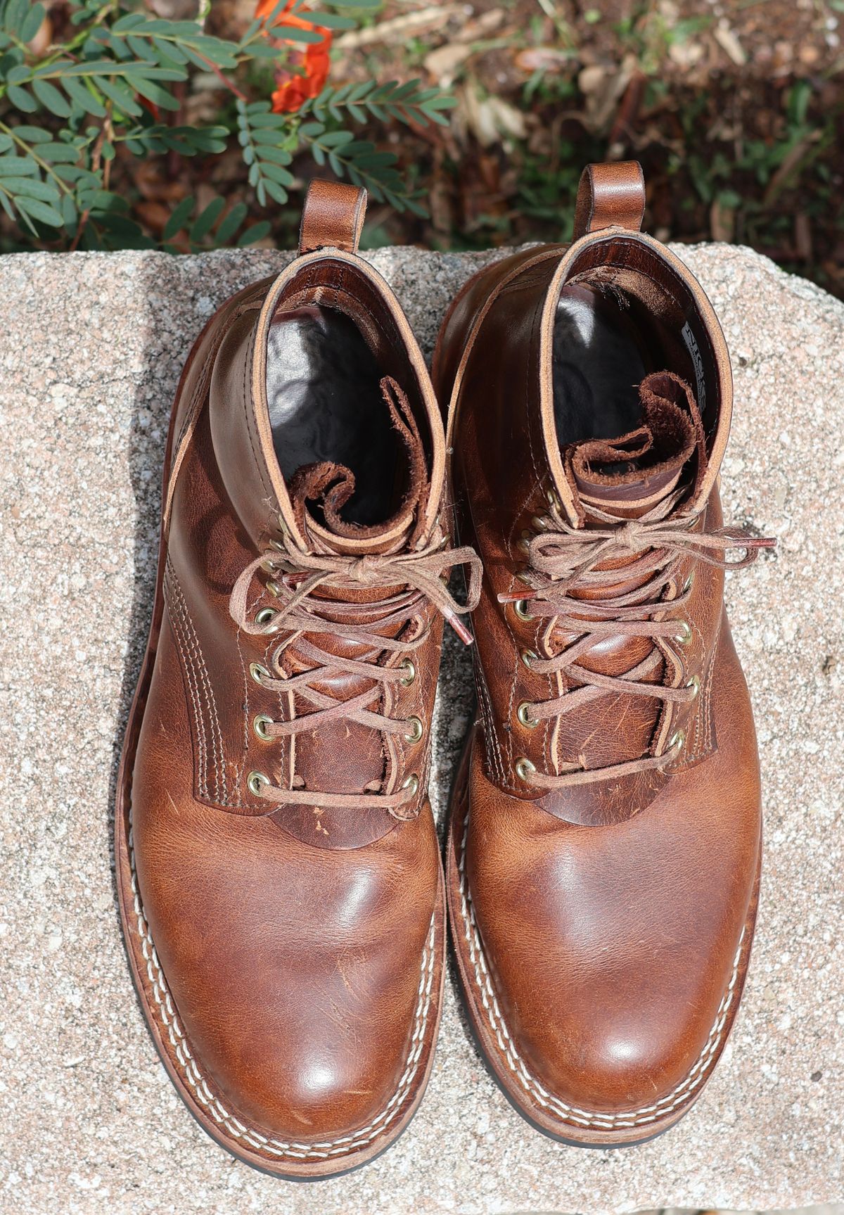 Photo by nosniv on April 1, 2026 of the Nicks DomePro in Horween Moc Cypress.
