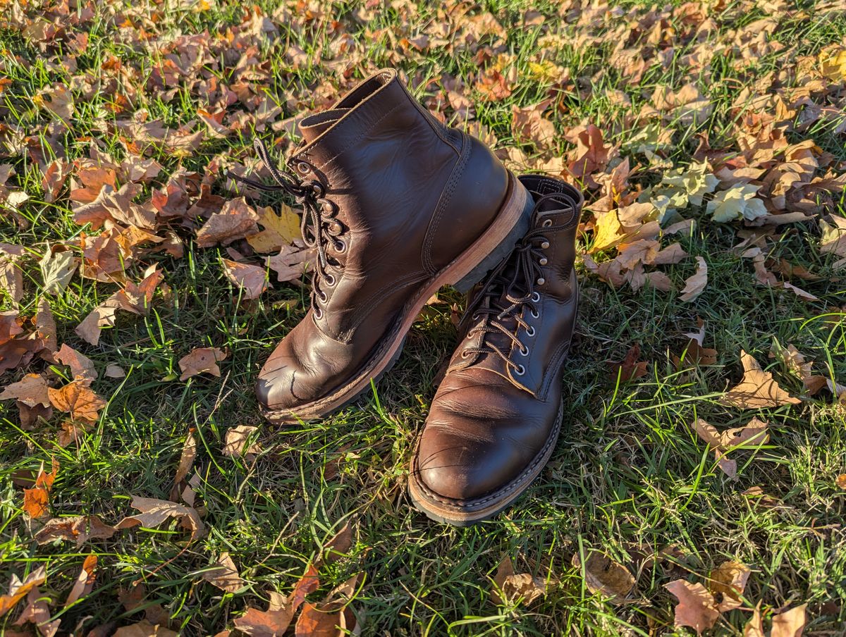 Photo by ABlazinBlueToe on November 5, 2025 of the White's MP-Sherman Plain Toe in Horween Brown Chromexcel.