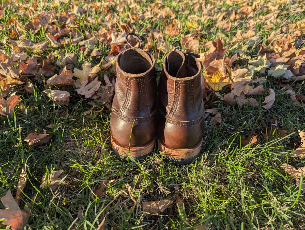 Photo by ABlazinBlueToe on November 5, 2025 of the White's MP-Sherman Plain Toe in Horween Brown Chromexcel.