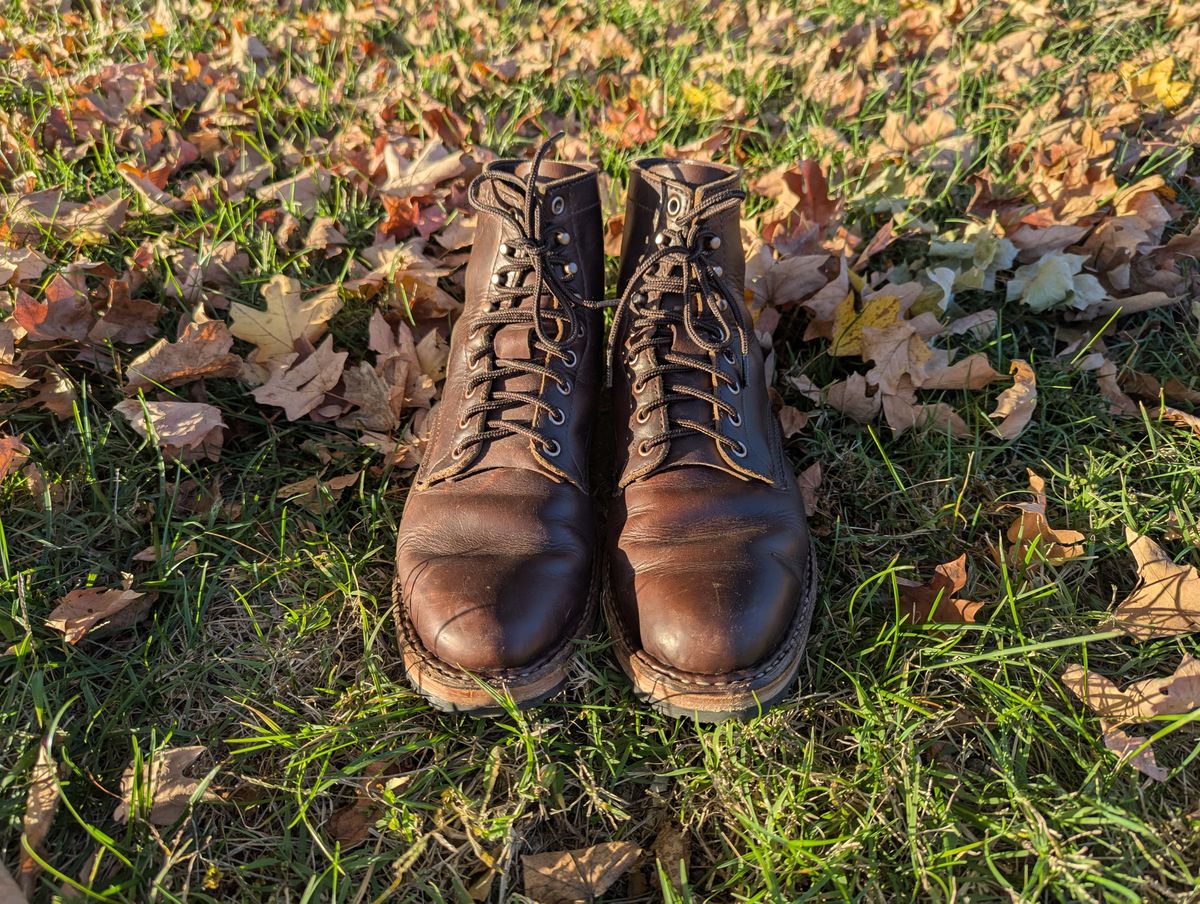 Photo by ABlazinBlueToe on November 5, 2025 of the White's MP-Sherman Plain Toe in Horween Brown Chromexcel.