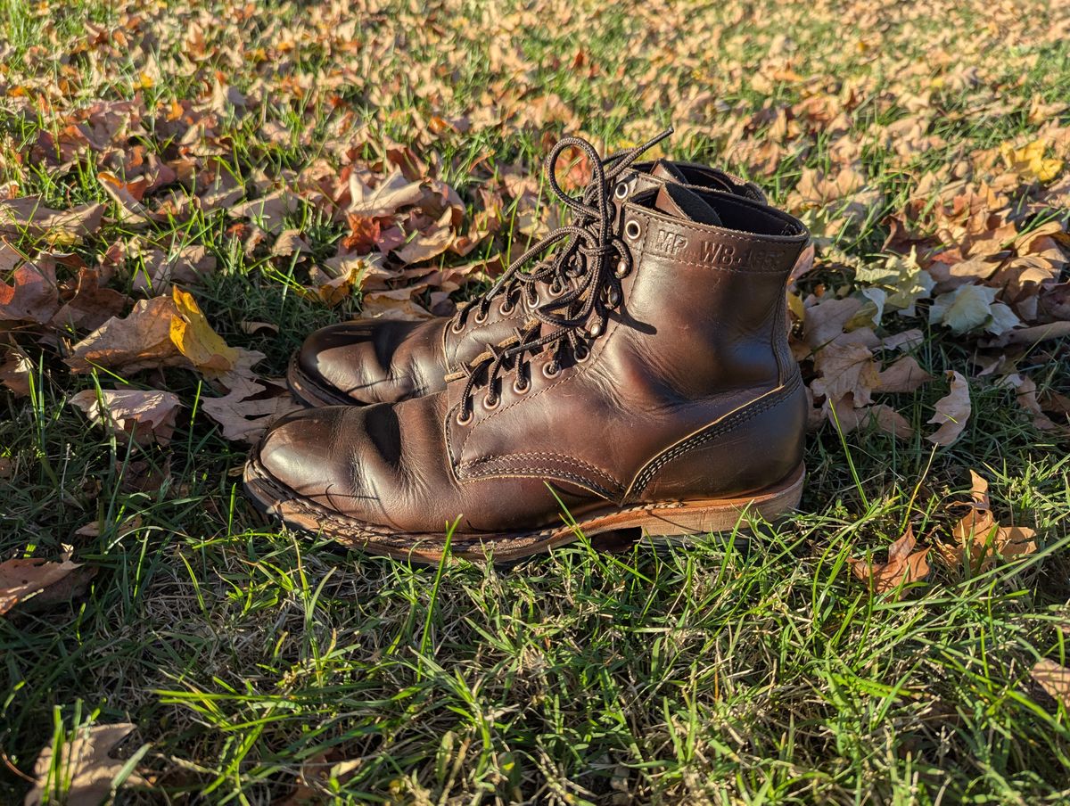 Photo by ABlazinBlueToe on November 5, 2025 of the White's MP-Sherman Plain Toe in Horween Brown Chromexcel.