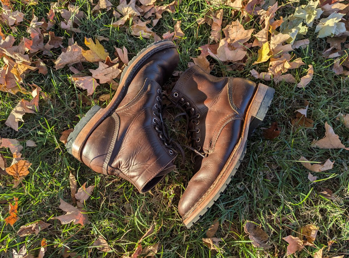 Photo by ABlazinBlueToe on November 5, 2025 of the White's MP-Sherman Plain Toe in Horween Brown Chromexcel.