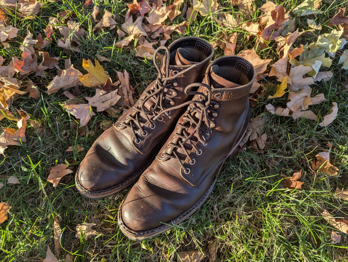 Photo by ABlazinBlueToe on November 5, 2025 of the White's MP-Sherman Plain Toe in Horween Brown Chromexcel.