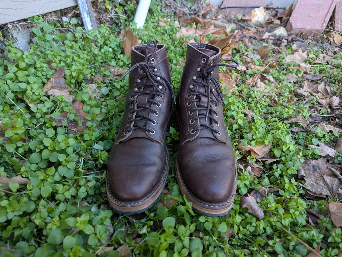 Photo by ABlazinBlueToe on December 5, 2025 of the White's MP-Sherman Plain Toe in Horween Brown Chromexcel.