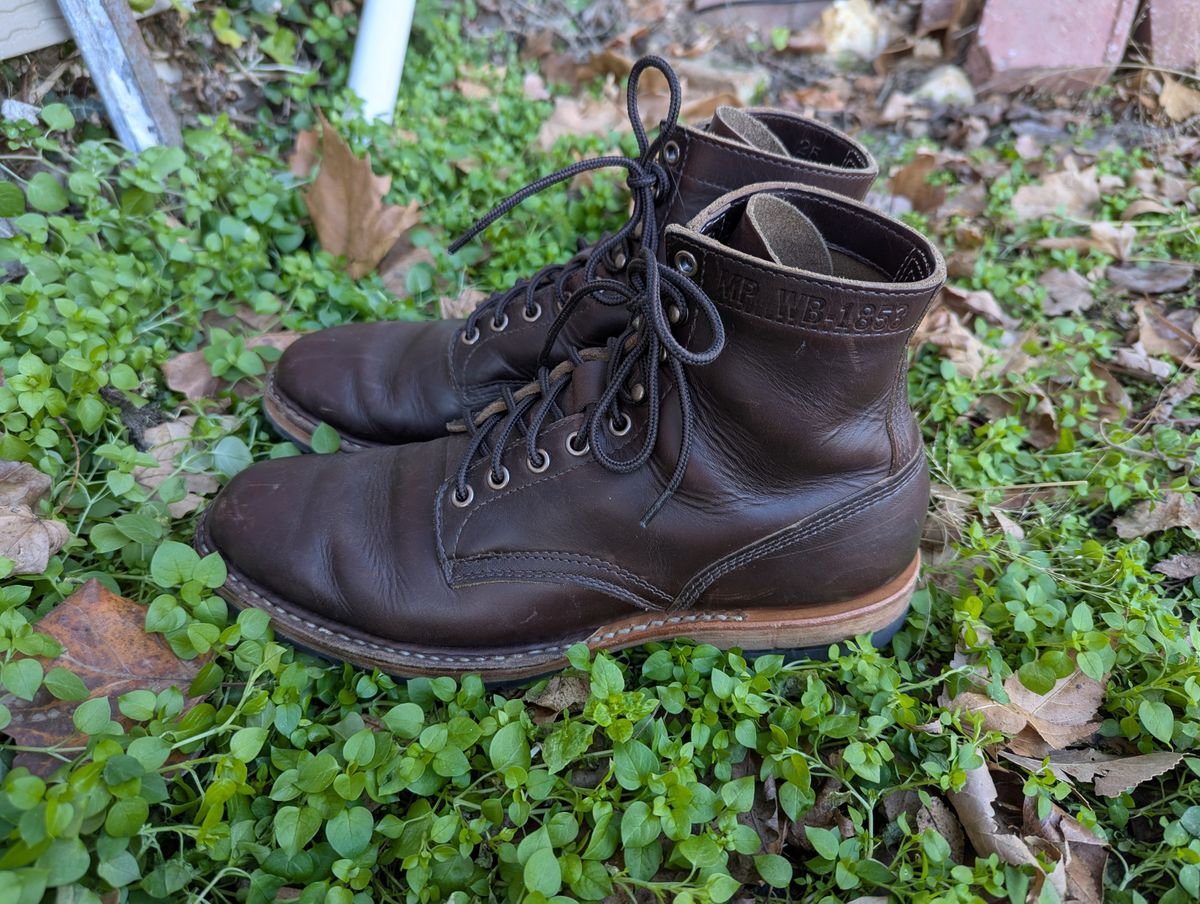 Photo by ABlazinBlueToe on December 5, 2025 of the White's MP-Sherman Plain Toe in Horween Brown Chromexcel.
