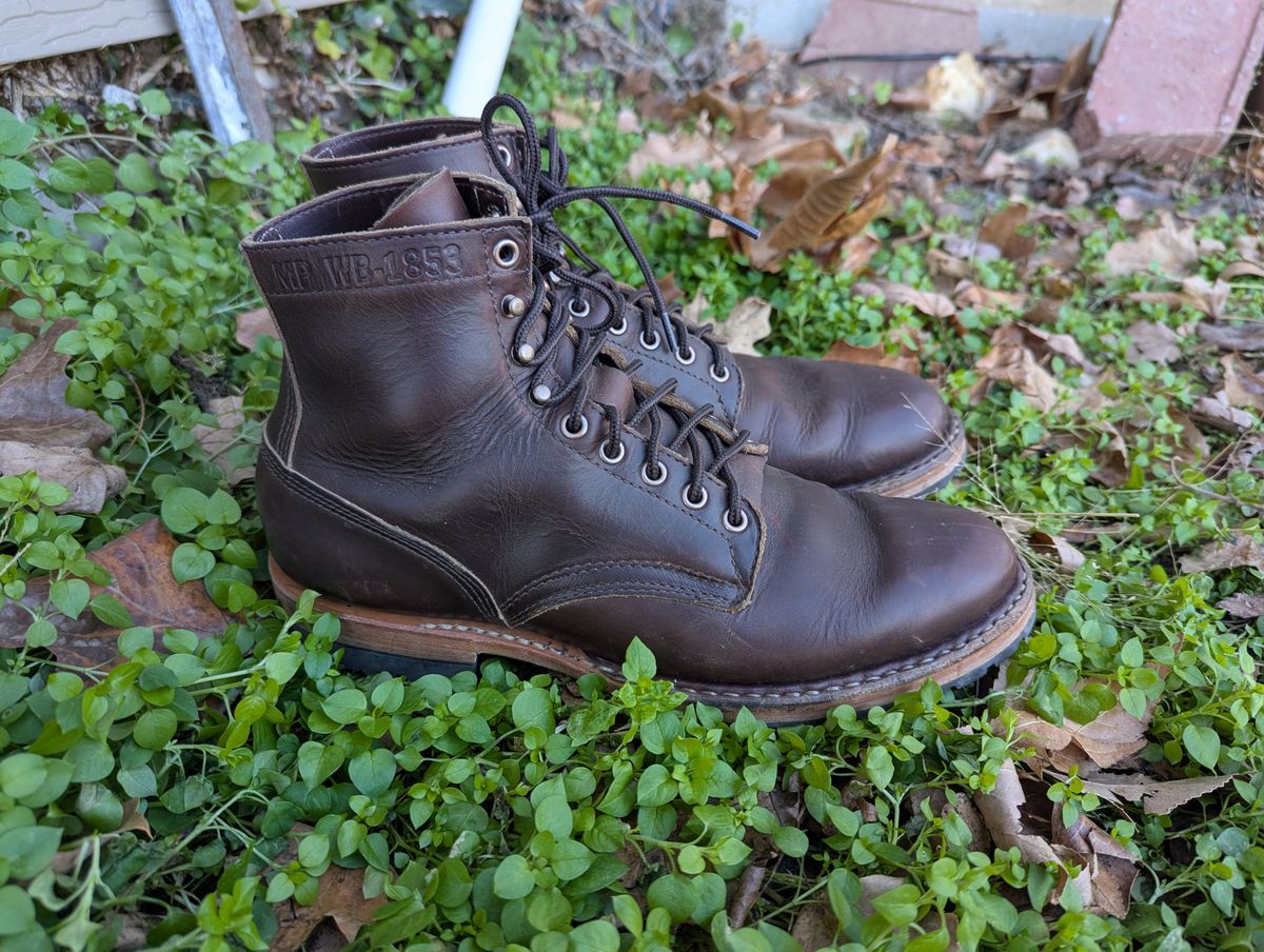 Photo by ABlazinBlueToe on December 5, 2025 of the White's MP-Sherman Plain Toe in Horween Brown Chromexcel.