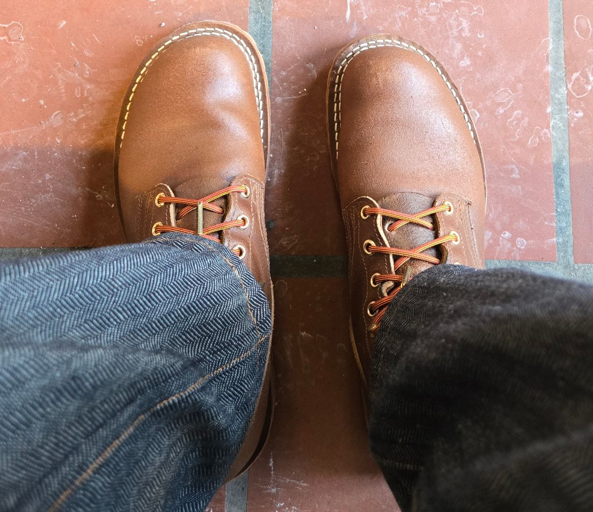 Photo by chuligani on January 31, 2026 of the Nicks Strider in Horween Ember Waxed Flesh.
