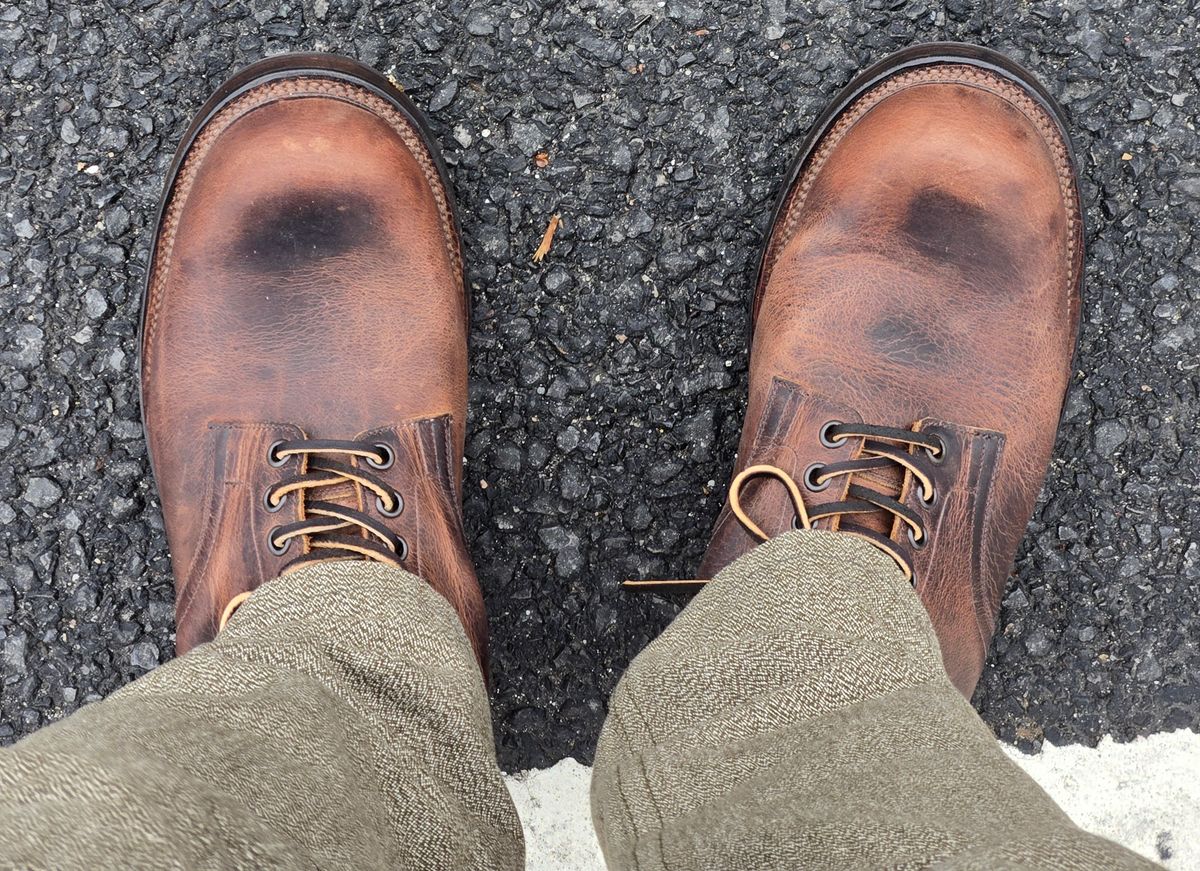 Photo by chuligani on April 30, 2026 of the Viberg Service Boot in Horween Rowdy Dachshund.