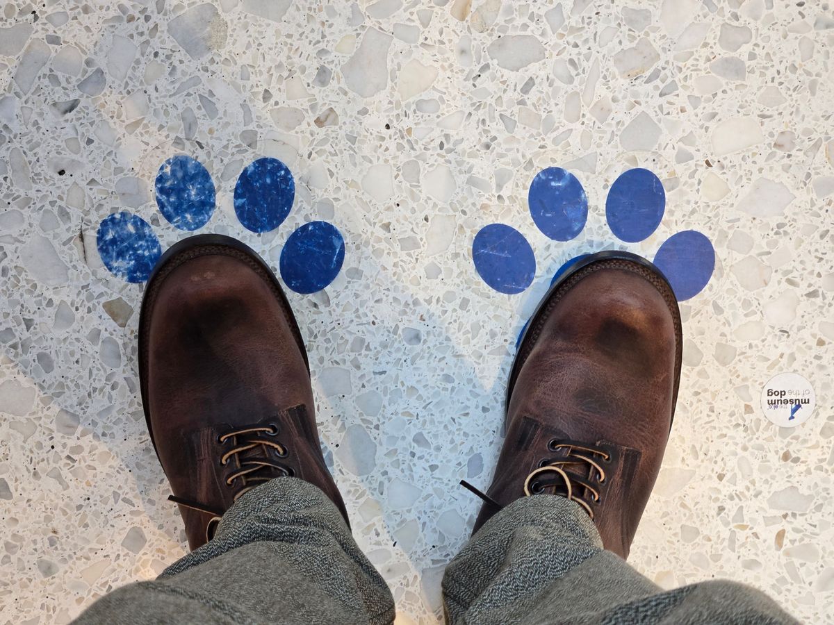 Photo by chuligani on April 30, 2026 of the Viberg Service Boot in Horween Rowdy Dachshund.