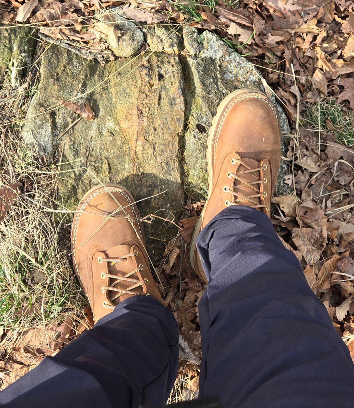 Photo by chuligani on March 15, 2026 of the Nicks Gamebreaker in Seidel WeatherShield Brown.