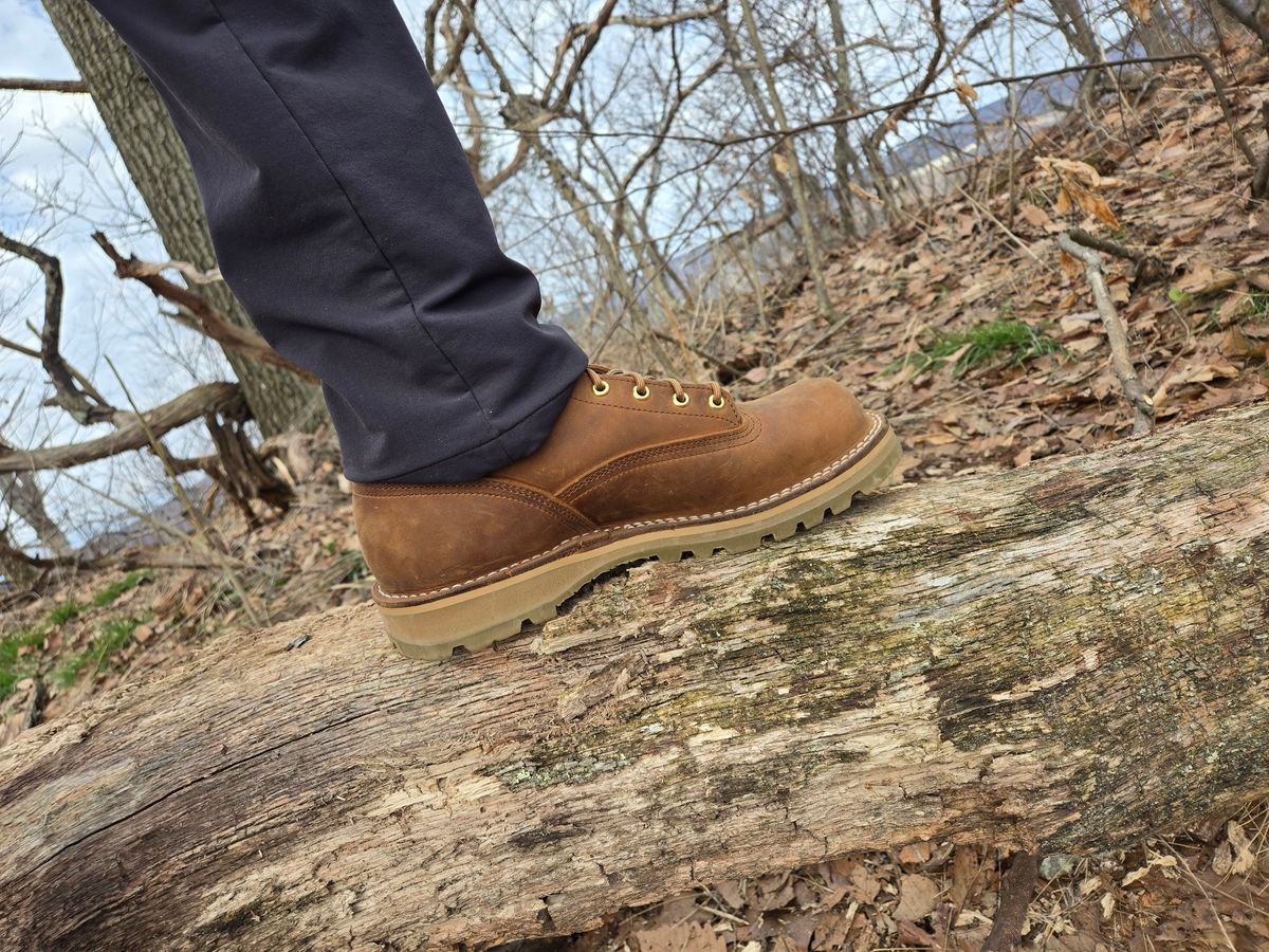 Photo by chuligani on March 15, 2026 of the Nicks Gamebreaker in Seidel WeatherShield Brown.