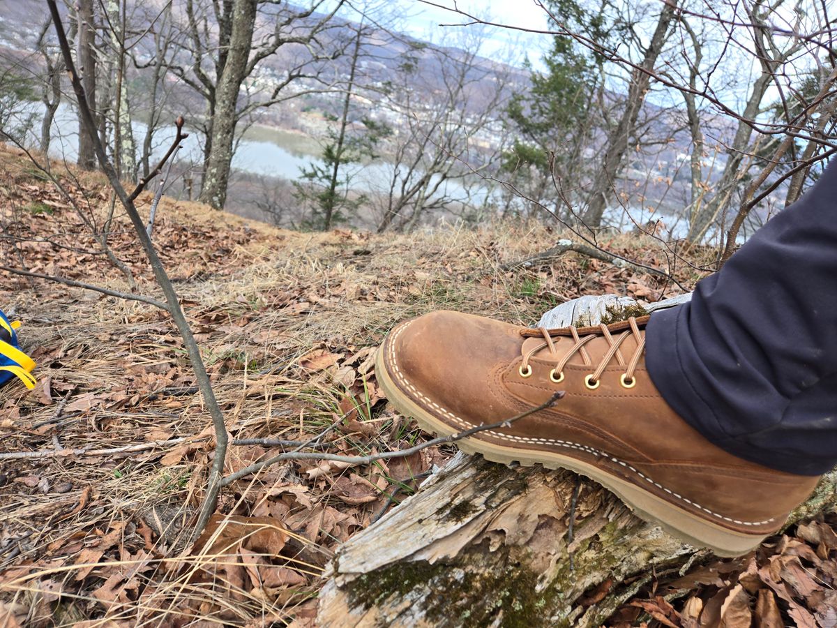 Photo by chuligani on March 15, 2026 of the Nicks Gamebreaker in Seidel WeatherShield Brown.