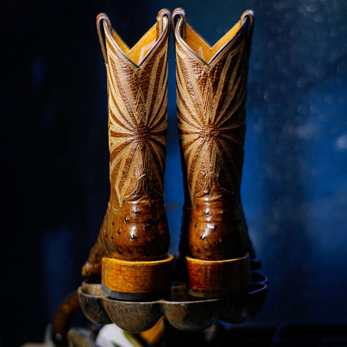Photo by thenewreligion on October 10, 2024 of the Self-Made Cowboy Boot in Kango Tobac Ostrich.
