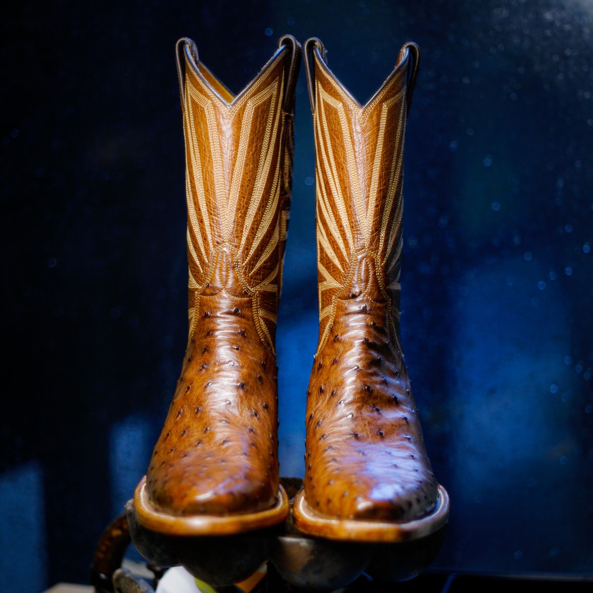 Photo by thenewreligion on October 10, 2024 of the Self-Made Cowboy Boot in Kango Tobac Ostrich.