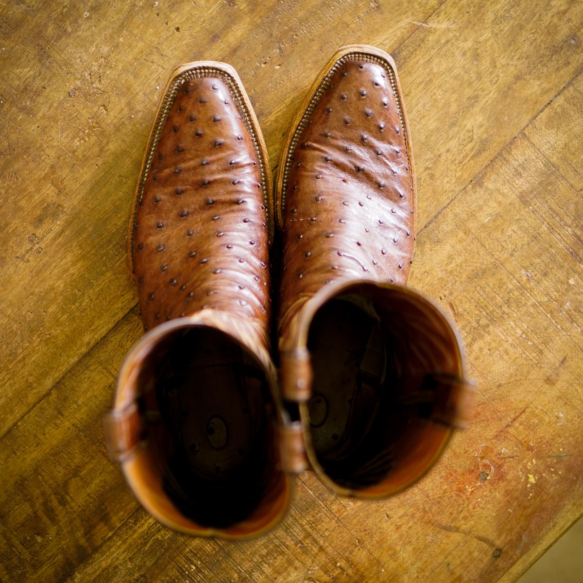 Photo by thenewreligion on November 4, 2024 of the Self-Made Cowboy Boot in Kango Tobac Ostrich.