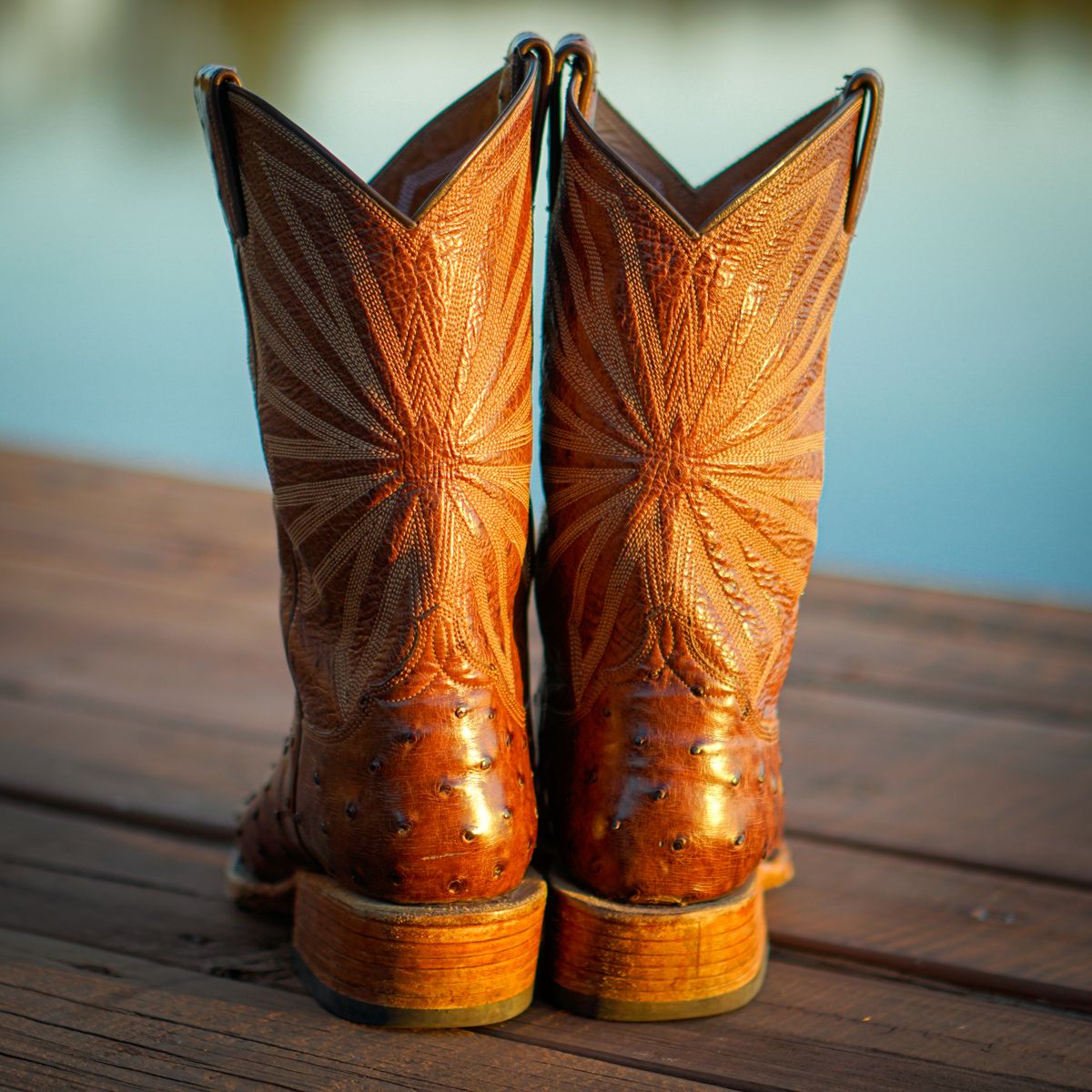 Photo by thenewreligion on December 5, 2024 of the Self-Made Cowboy Boot in Kango Tobac Ostrich.