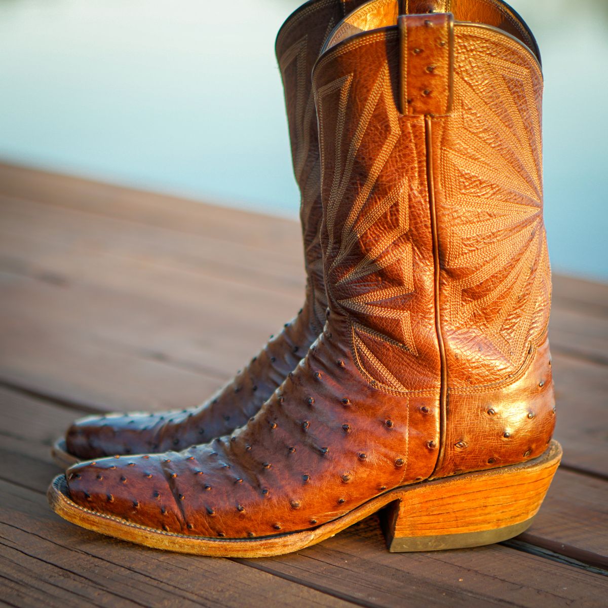 Photo by thenewreligion on December 5, 2024 of the Self-Made Cowboy Boot in Kango Tobac Ostrich.