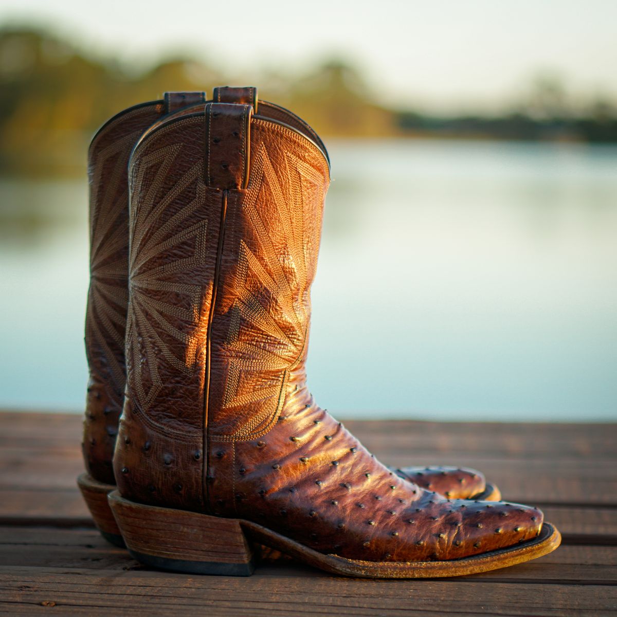 Photo by thenewreligion on December 5, 2024 of the Self-Made Cowboy Boot in Kango Tobac Ostrich.