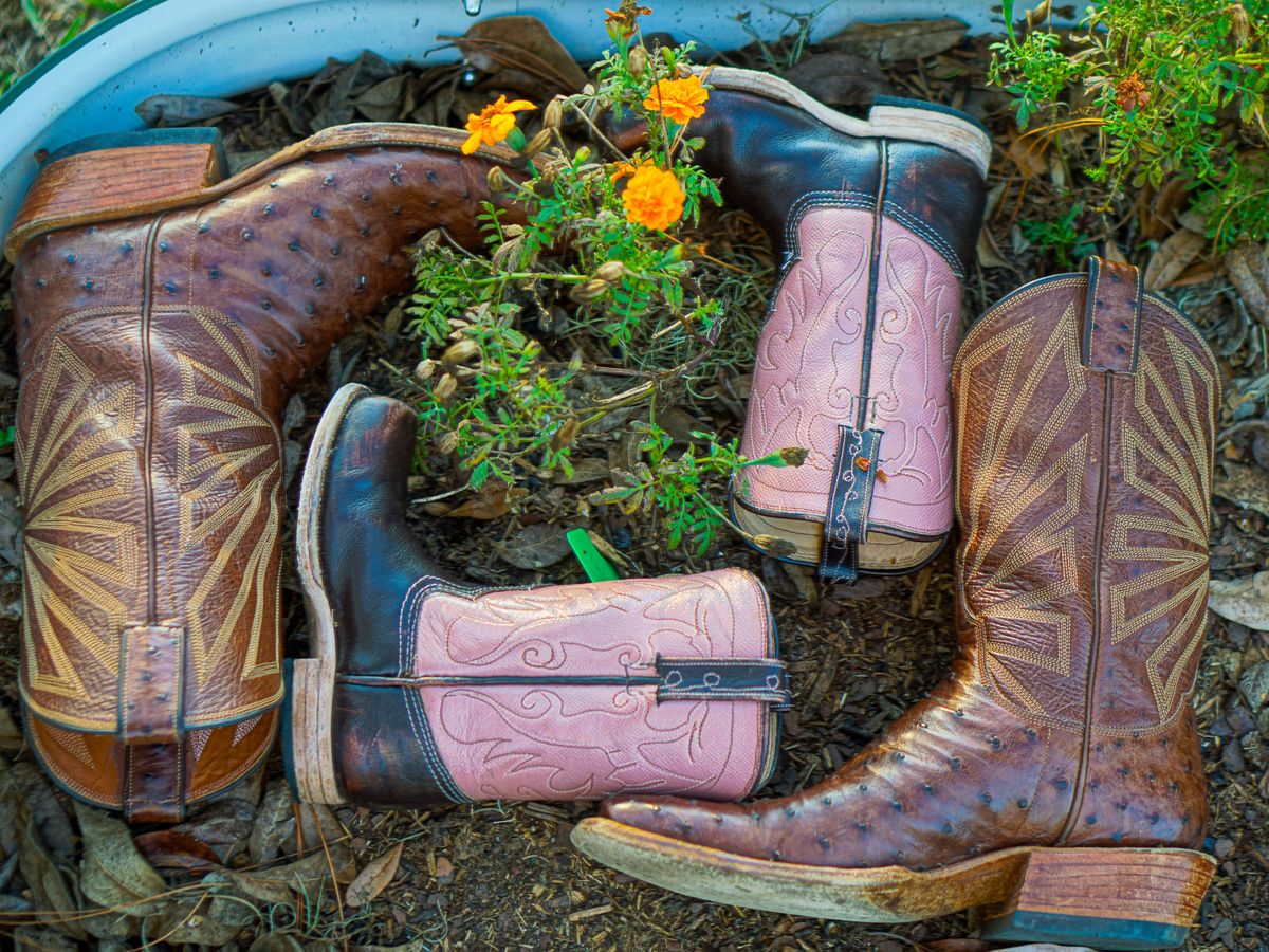 Photo by thenewreligion on January 3, 2025 of the Self-Made Cowboy Boot in Kango Tobac Ostrich.