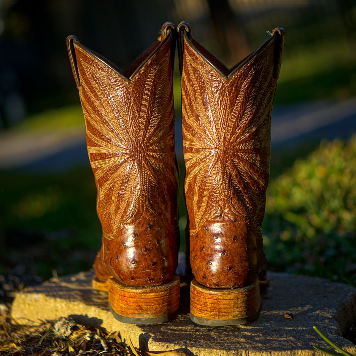 Photo by thenewreligion on January 3, 2025 of the Self-Made Cowboy Boot in Kango Tobac Ostrich.