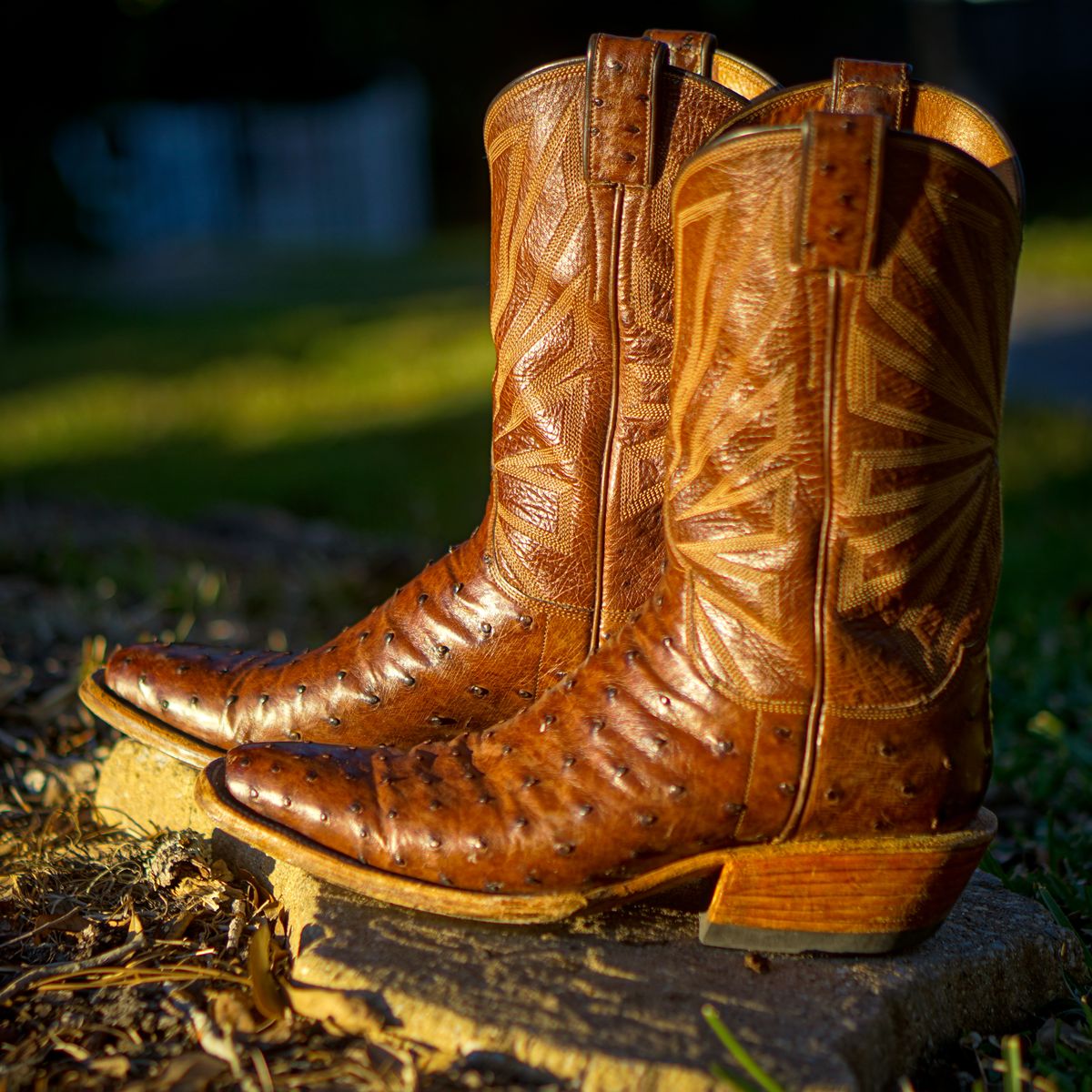 Photo by thenewreligion on January 3, 2025 of the Self-Made Cowboy Boot in Kango Tobac Ostrich.