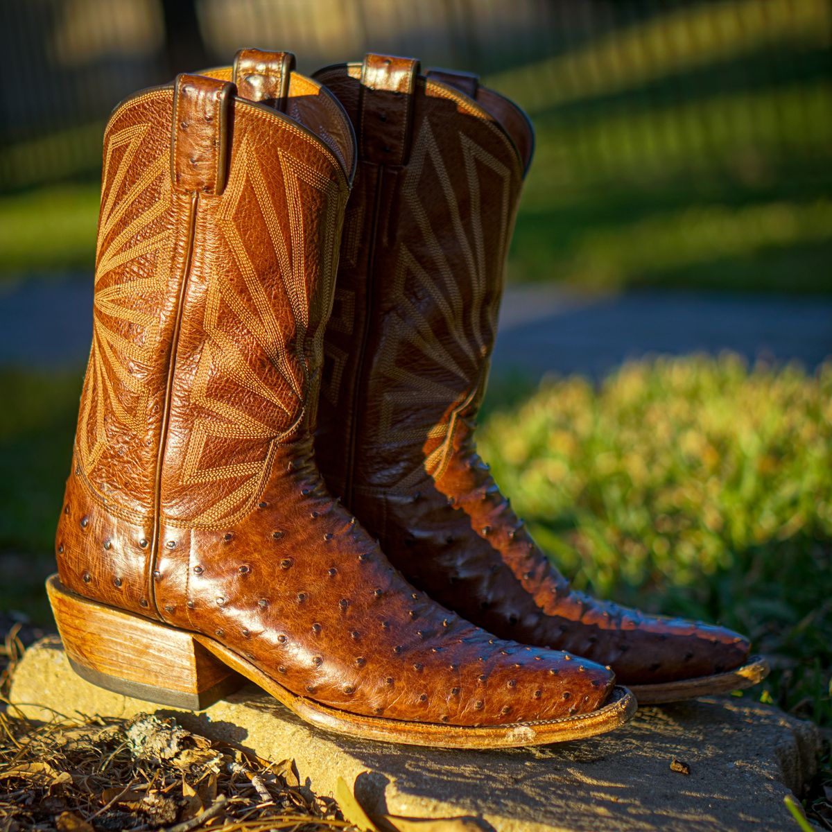 Photo by thenewreligion on January 3, 2025 of the Self-Made Cowboy Boot in Kango Tobac Ostrich.