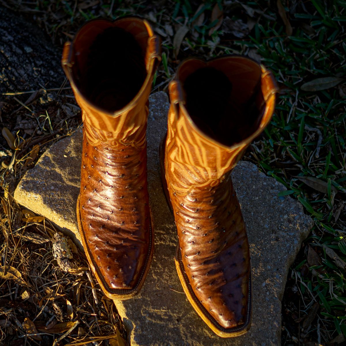 Photo by thenewreligion on January 3, 2025 of the Self-Made Cowboy Boot in Kango Tobac Ostrich.