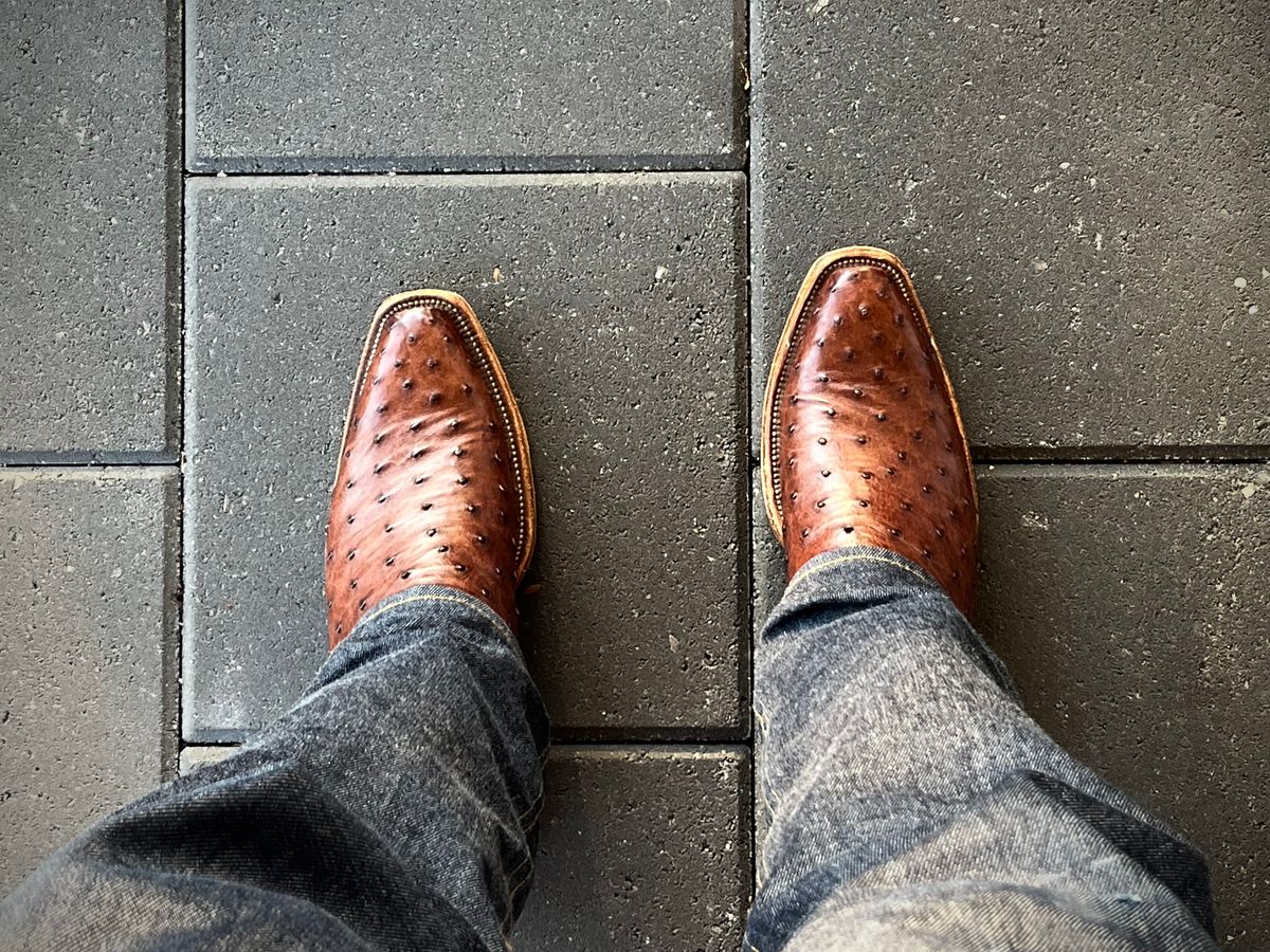 Photo by thenewreligion on February 6, 2025 of the Self-Made Cowboy Boot in Kango Tobac Ostrich.